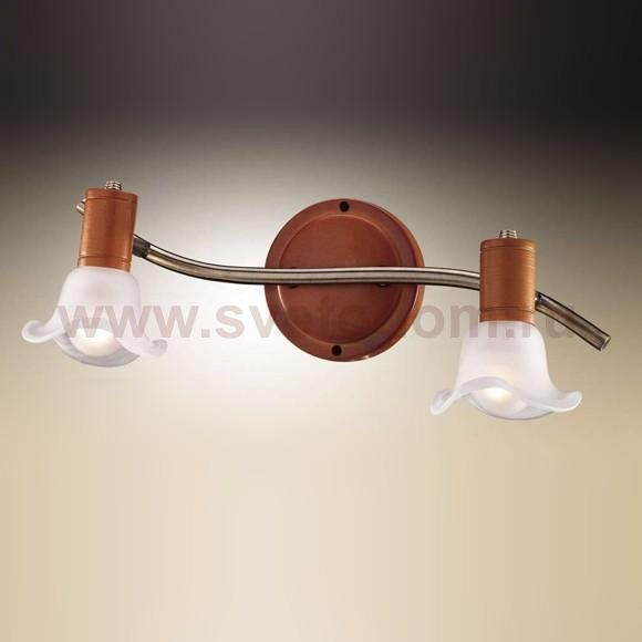 Светильник поворотный спот Odeon light 1967/2W TRUM