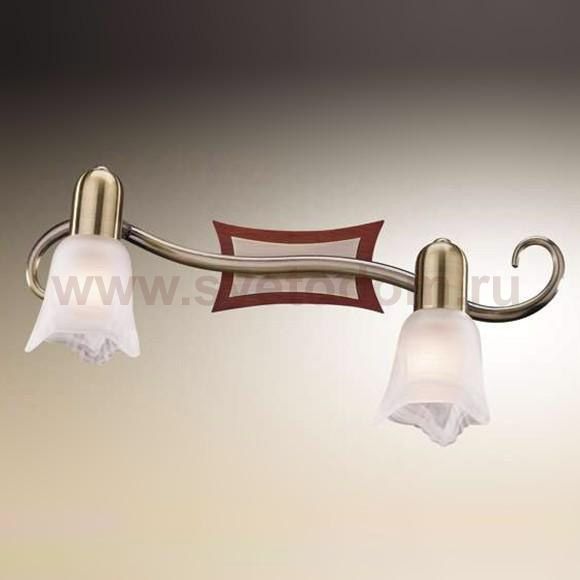 Светильник поворотный спот Odeon light 1968/2W ILSA