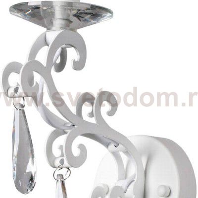 Настенный светильник Favourite 1969-1W Terrific