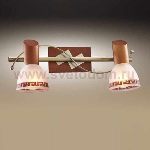 Светильник поворотный спот Odeon light 1970/2W VARIO