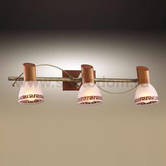 Подсветка Odeon light 1970/3W VARIO