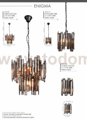 Настенный светильник Favourite 1973-1W Enigma