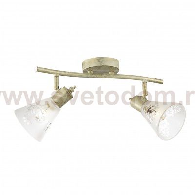 Потолочный светильник Favourite 1794-2U Gumbata