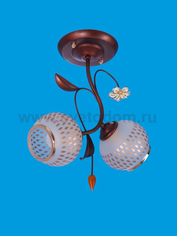 Потолочный светильник 1976/2RD WT+FGD Экономсвет