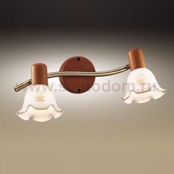 Светильник поворотный спот Odeon light 1977/2W VEGA