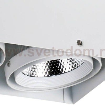 Потолочный светильник Favourite 1986-2U Flashled