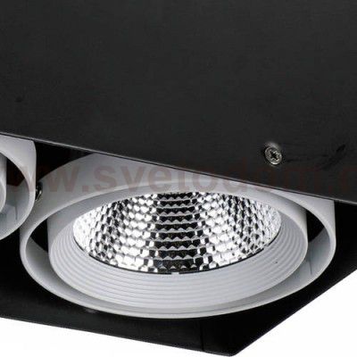 Потолочный светильник Favourite 1987-2U Flashled