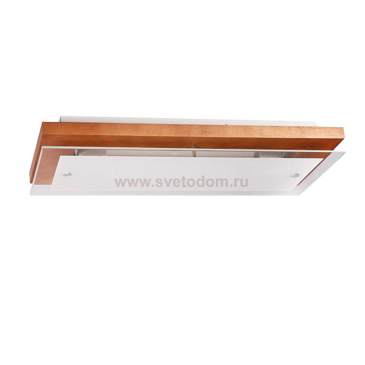 Светильник Дубравия 199-21-22/H