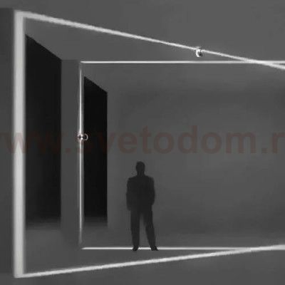 Настенный светильник Favourite 1999-1W Collare