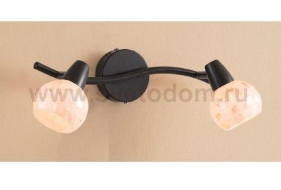 Светильник поворотный спот Citilux CL520525 Соната