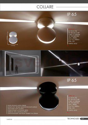 Настенный светильник Favourite 2000-1W Collare