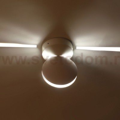 Настенный светильник Favourite 2000-1W Collare