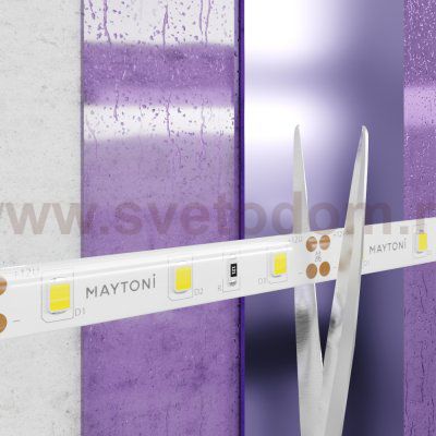 Светодиодная лента 12В Maytoni 20005