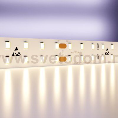 Светодиодная лента 24В Maytoni 20029