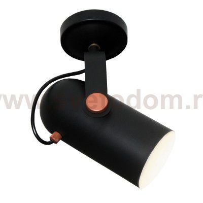 Настенный светильник Favourite 2007-1W Ampolla