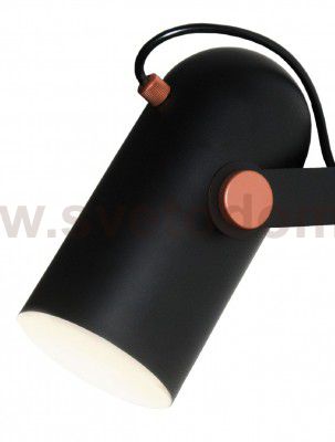 Настенный светильник Favourite 2007-1W Ampolla