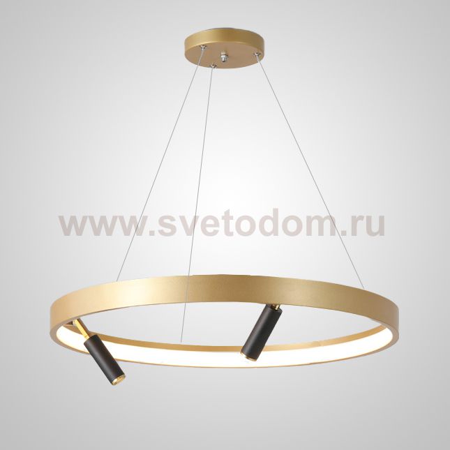 Подвесная люстра RAPID CH D60 Brass Black ImperiumLoft 201277-23