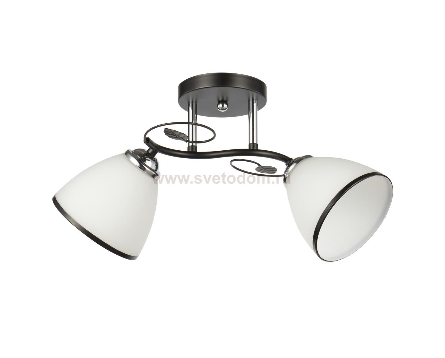 Потолочный светильник 20137/2BK+CR WT+BK ЭкономСвет