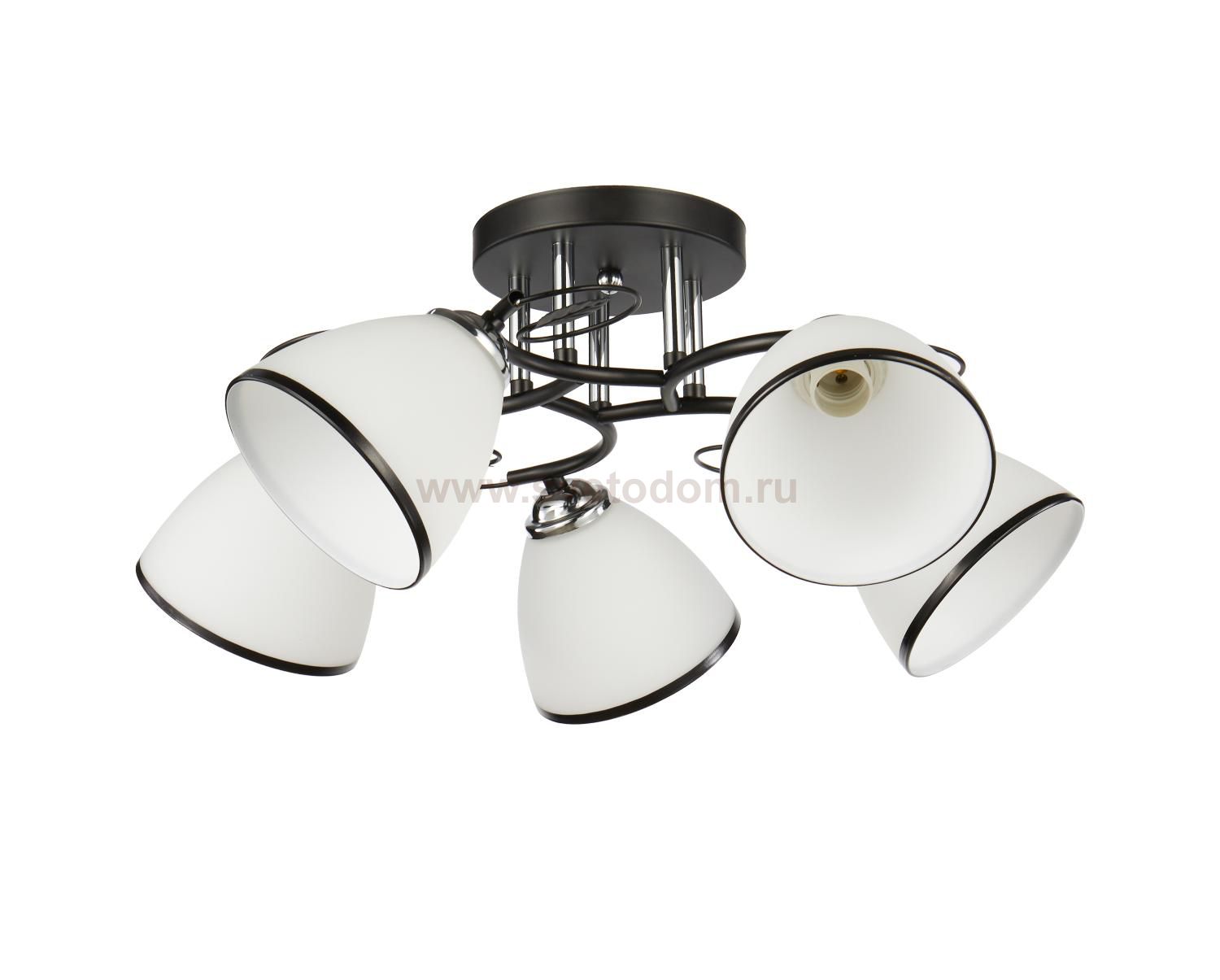Потолочный светильник 20137/5BK+CR WT+BK ЭкономСвет