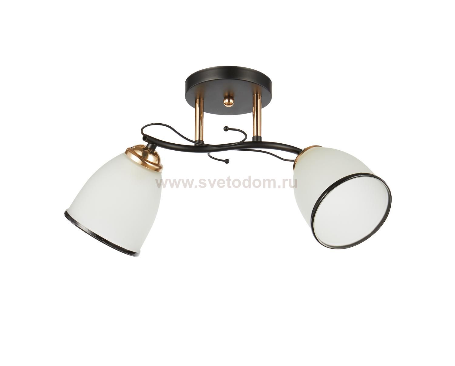 Потолочный светильник 20138/2BK+FGD WT+BK ЭкономСвет
