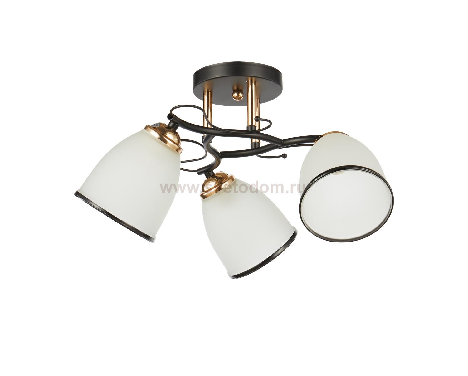 Потолочный светильник 20138/3BK+FGD WT+BK ЭкономСвет