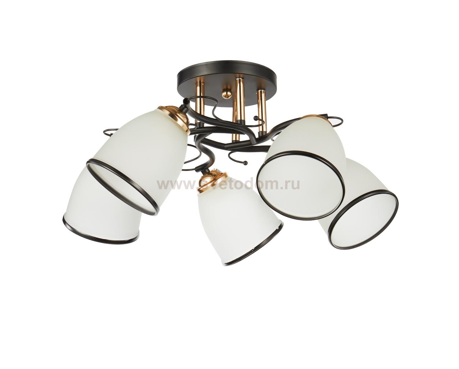 Потолочный светильник 20138/5BK+FGD WT+BK ЭкономСвет