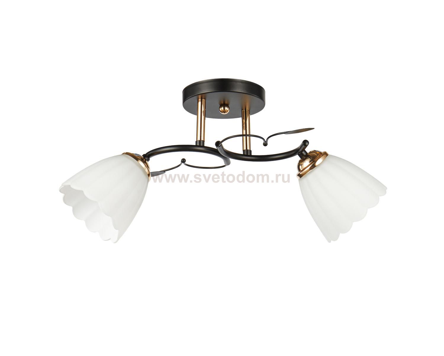 Потолочный светильник 20139/2BK+FGD WT ЭкономСвет