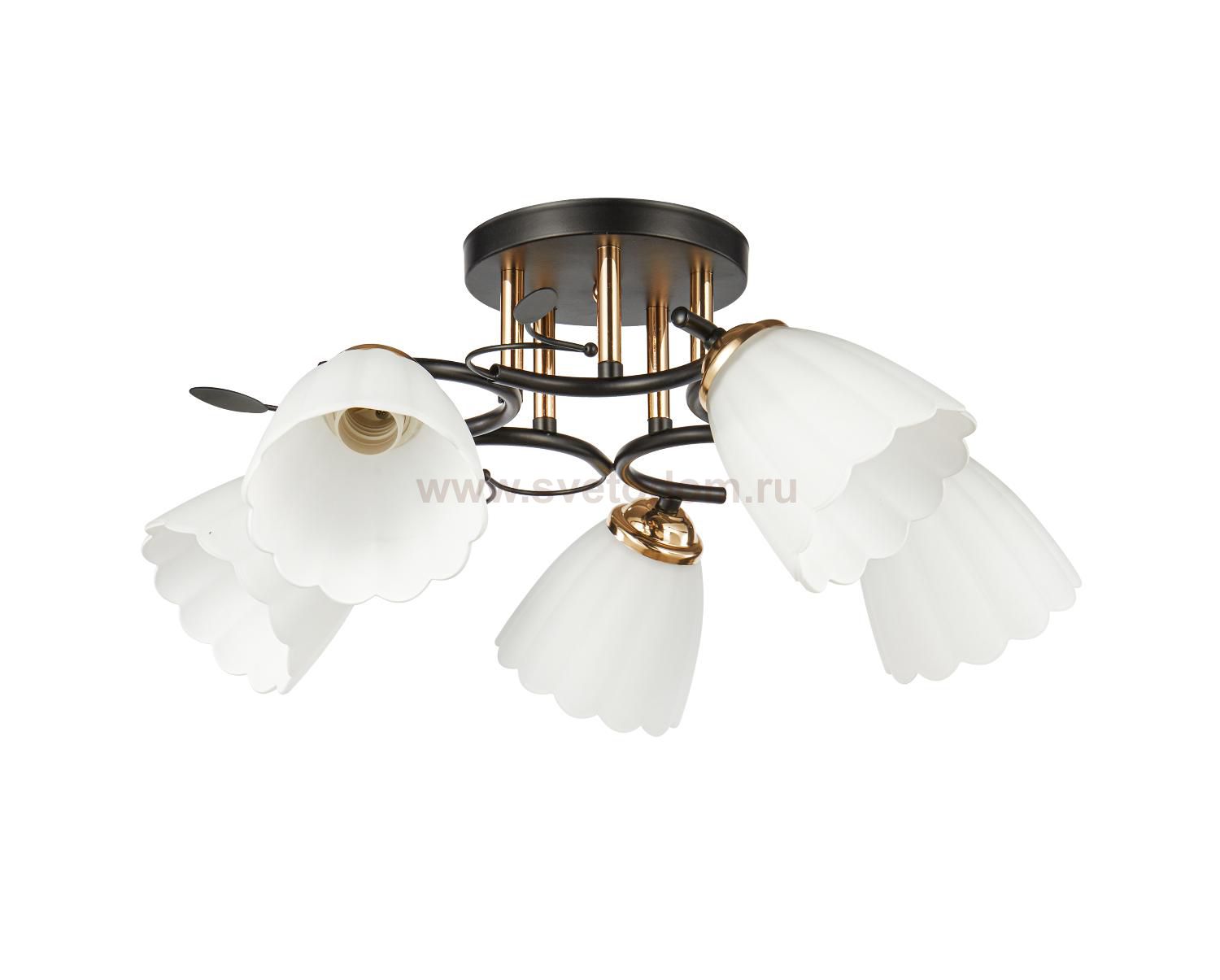 Потолочный светильник 20139/5BK+FGD WT ЭкономСвет