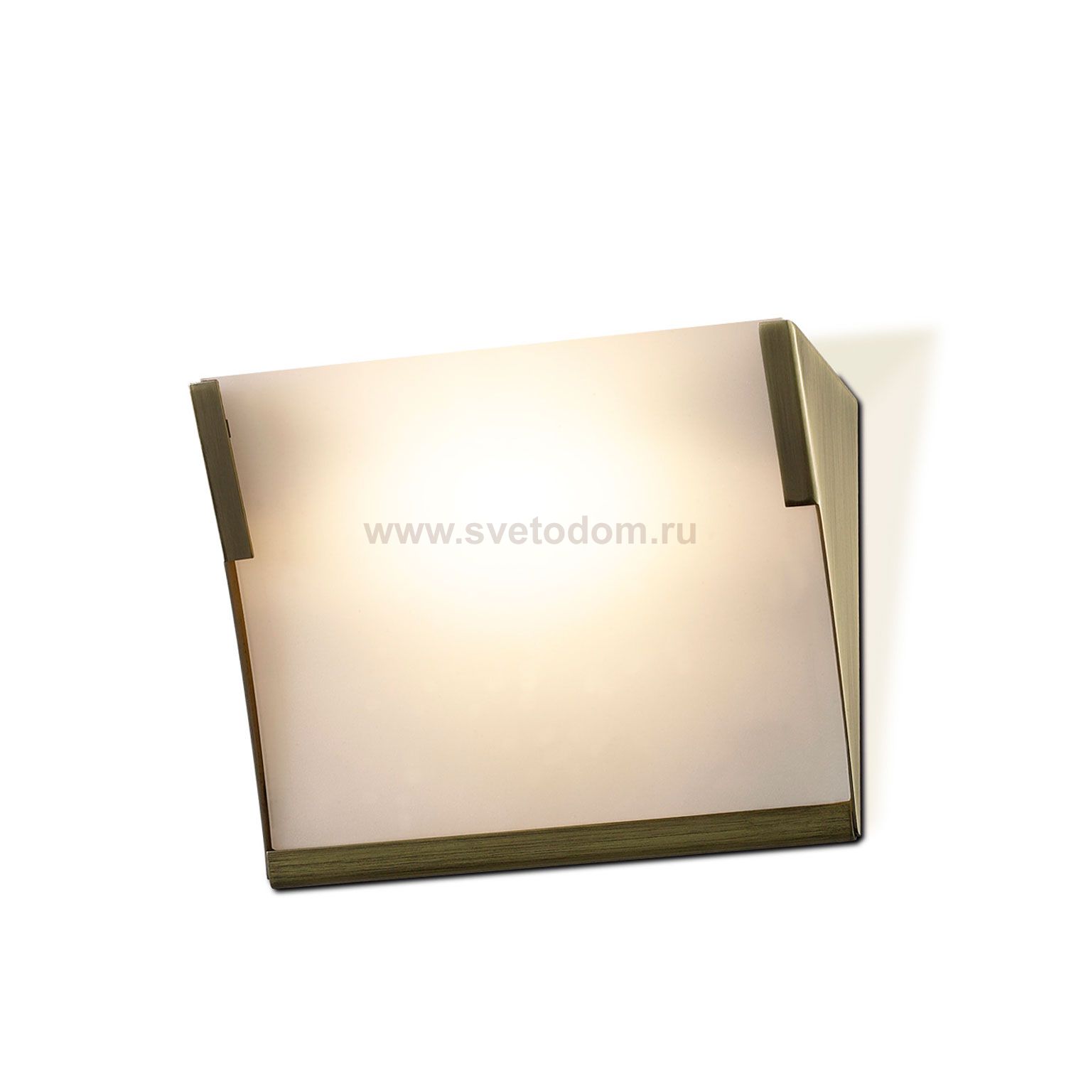 Светильник настенный бра Odeon light 2021/1W LAN