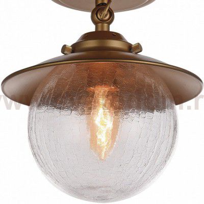 Потолочный светильник Favourite 2027-1U Farola