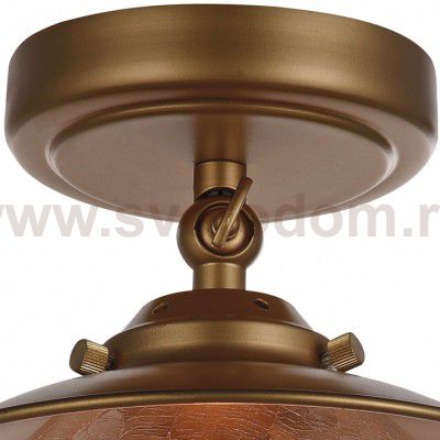 Потолочный светильник Favourite 2027-1U Farola