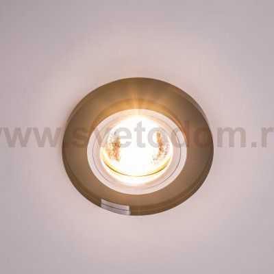 Точечный светильник Экономсвет 202SJB BK