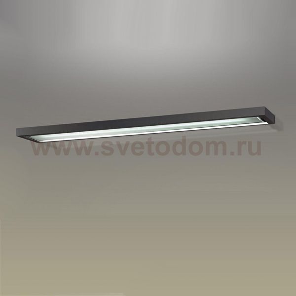 Светильник настенно-потолочный Odeon light 2032/1w SELVE