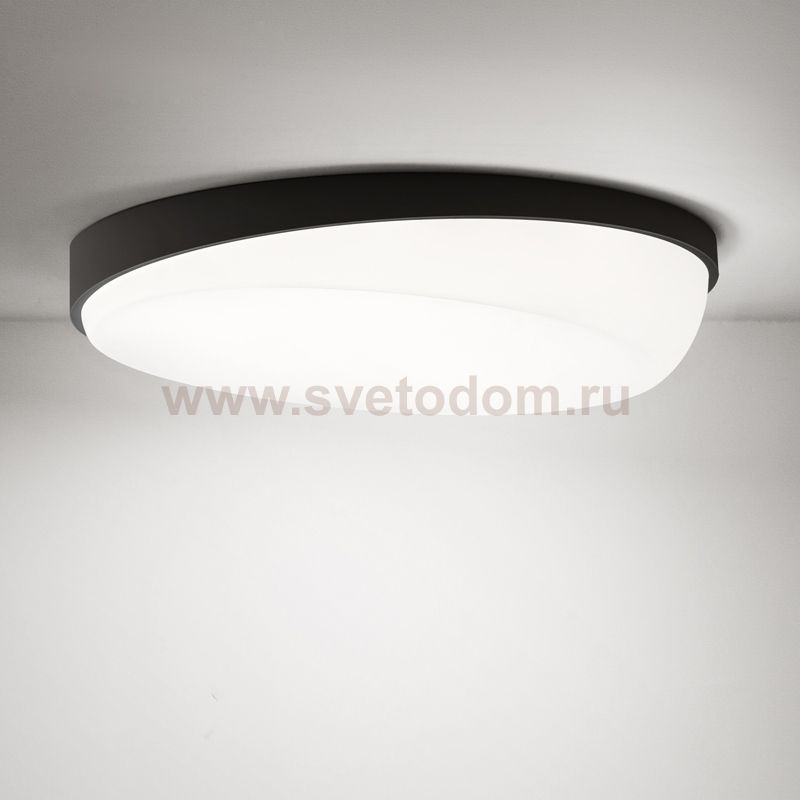 Потолочный светильник SLOPE D51 Black ImperiumLoft 203503-26