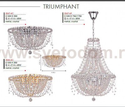 Потолочный светильник Favourite 2046-4C Triumphant
