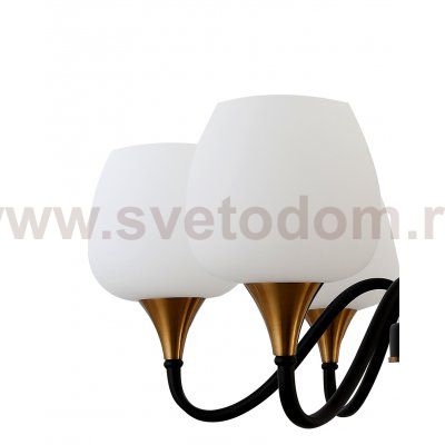 Люстра Rivoli Emarita 2049-206 6 х Е27 40 Вт классика