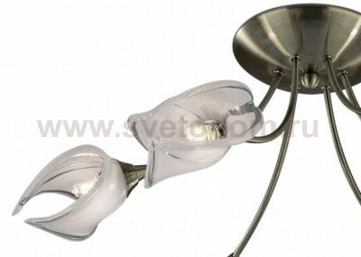 Люстра Odeon light 2049/6C ANTRA