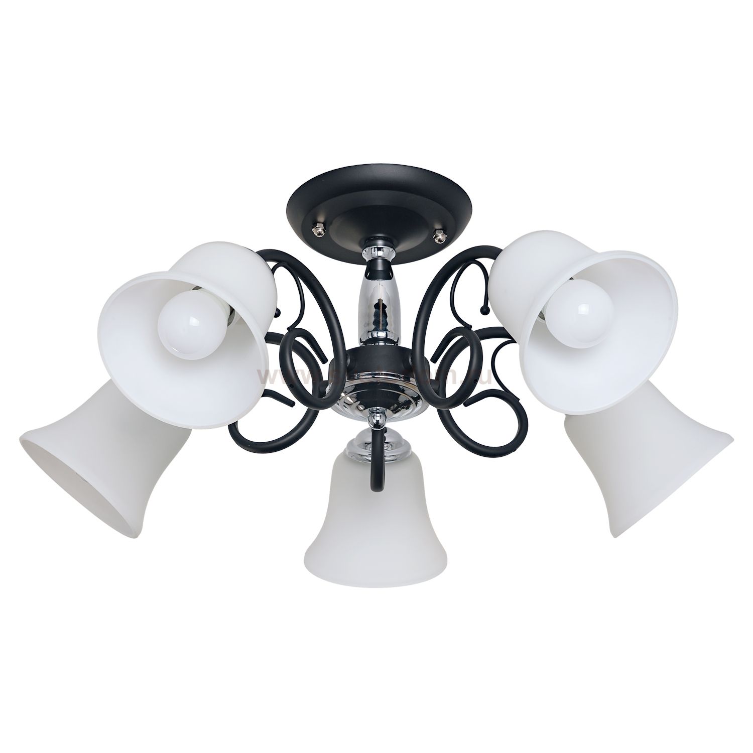 Потолочный светильник Экономсвет 205/5CR+BK WT