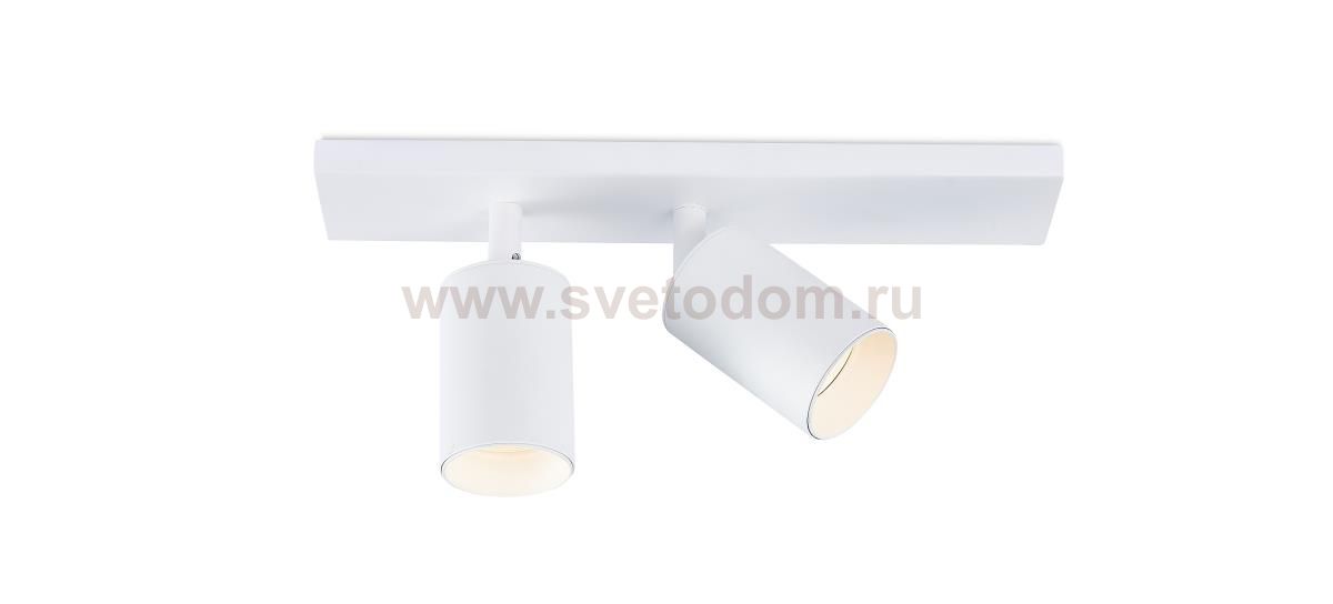 Потолочный светильник Simple Story 2063-2CLW
