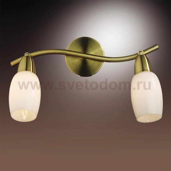 Светильник поворотный спот Odeon light 2067/2W OTTA