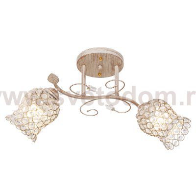 Потолочный светильник Экономсвет 2071T/2WG WT+CL