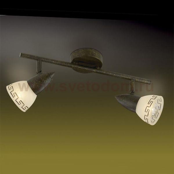 Светильник поворотный спот Odeon light 2075/2W MEDEO