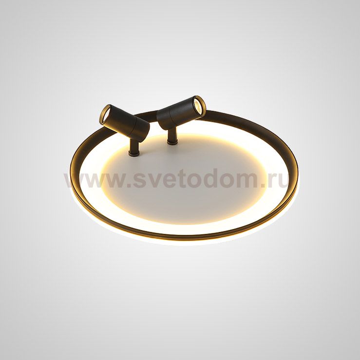 Потолочный светильник GARB B D40 Black ImperiumLoft 207976-23