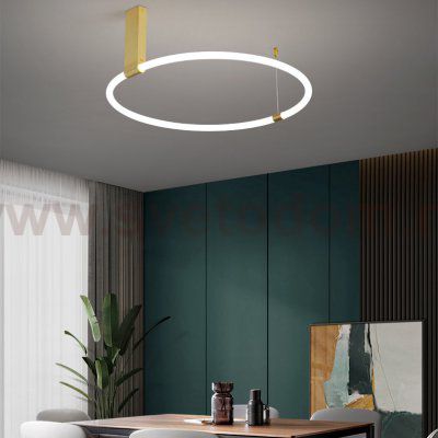 Потолочный светильник RINGMOR D60 D80 R2 ImperiumLoft 207983-23