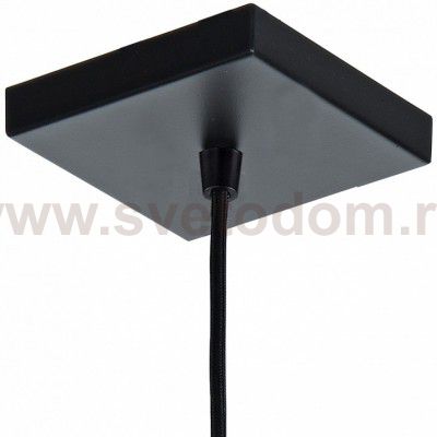 Люстра подвесная Favourite 2083-1P Dual