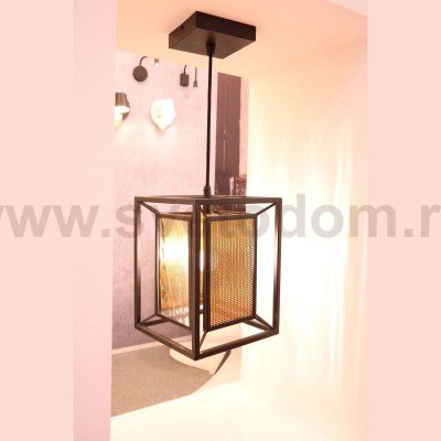 Люстра подвесная Favourite 2083-1P Dual