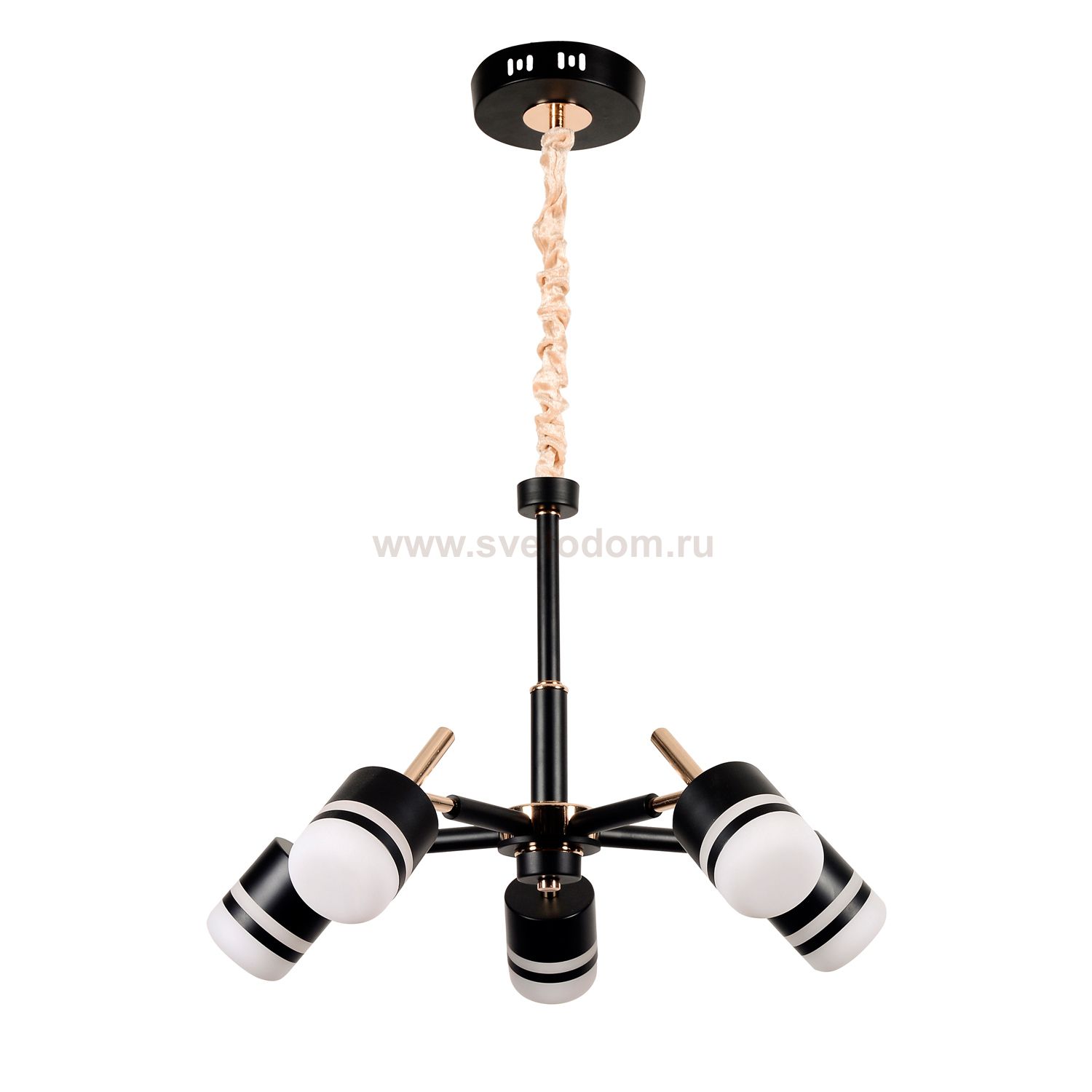 Люстра светодиодная Экономсвет 21089/5BK+GD WT+BK