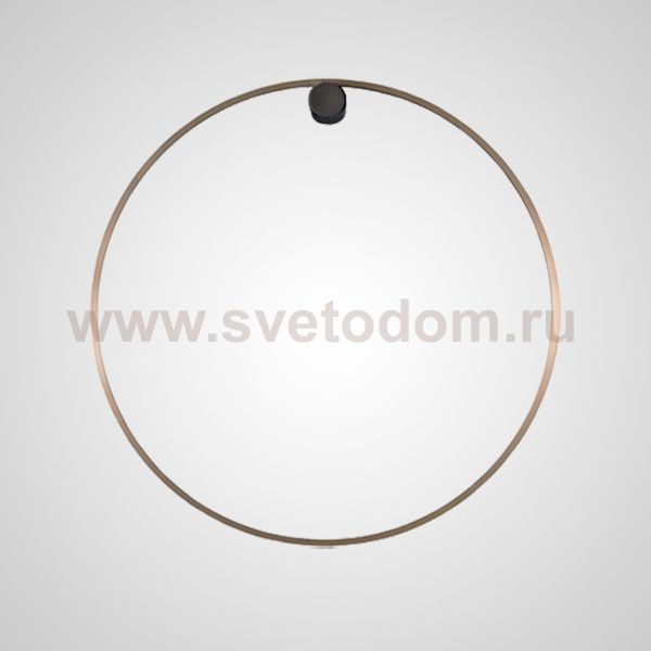 Настенный светильник WILD RING A D100 Brass ImperiumLoft 212059-23
