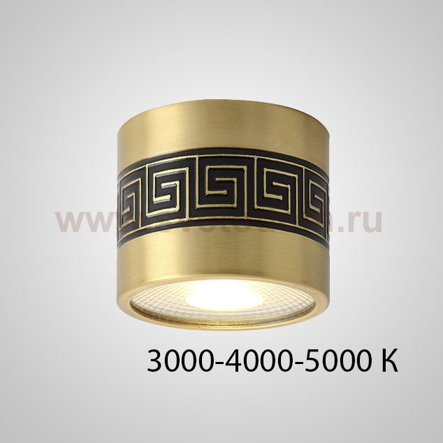 Точечный светильник BIEN D7.5  7W Трехцветный свет ImperiumLoft 212451-23