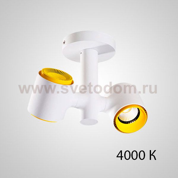 Точечный светильник RESTON PLANK L2 4000 К ImperiumLoft 212473-23